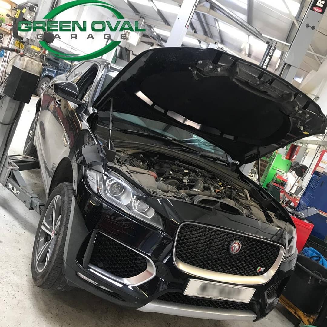 We can now look after your Jaguar too.... We can now look after your Jaguar too....